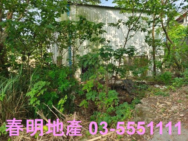 香山農地-6