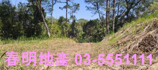 新竹農地-3