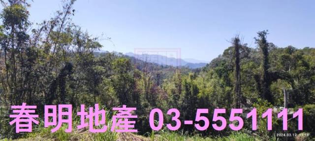 新竹農地-6
