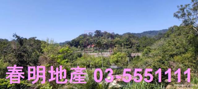 新竹農地-8