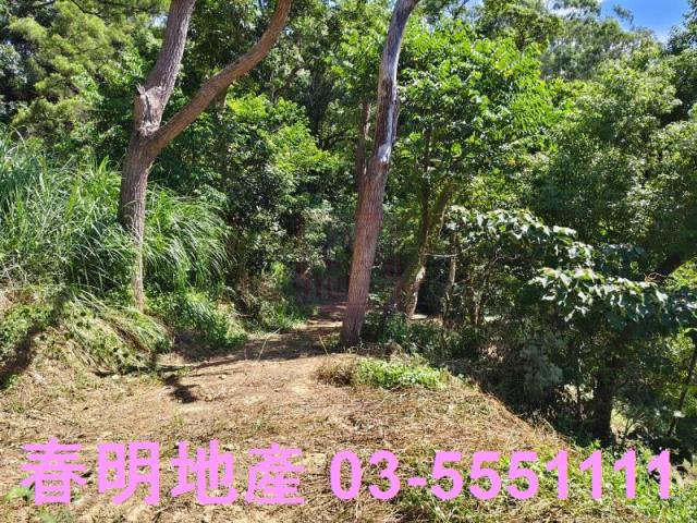 東區風景地-4