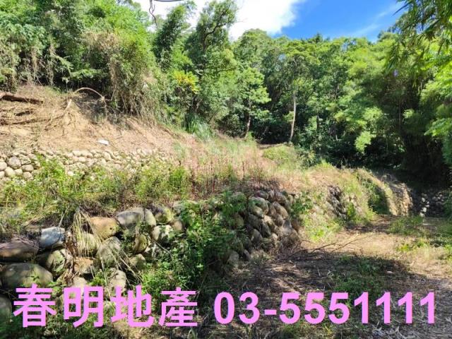 東區風景地-5