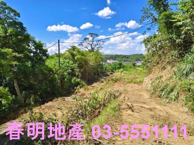 東區風景地-6
