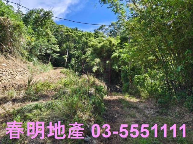 東區風景地-8
