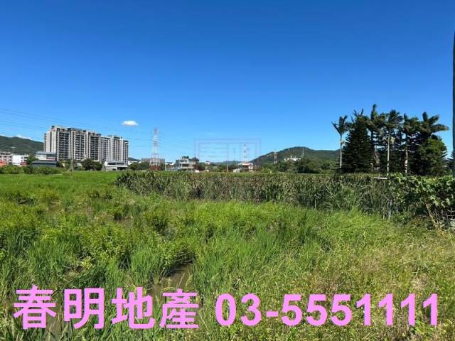 新埔農地-10