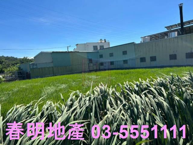 新埔農地-3