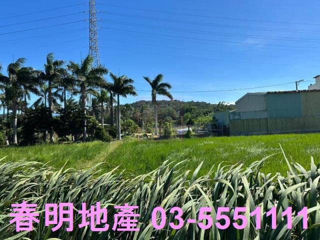 新埔農地-4