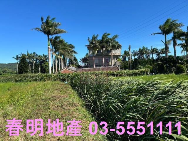 新埔農地-5