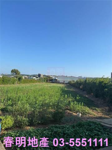 新豐農地-3