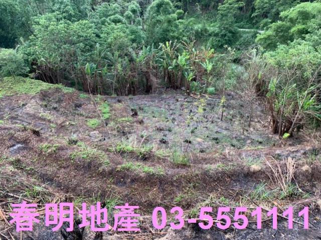 峨眉農地-11