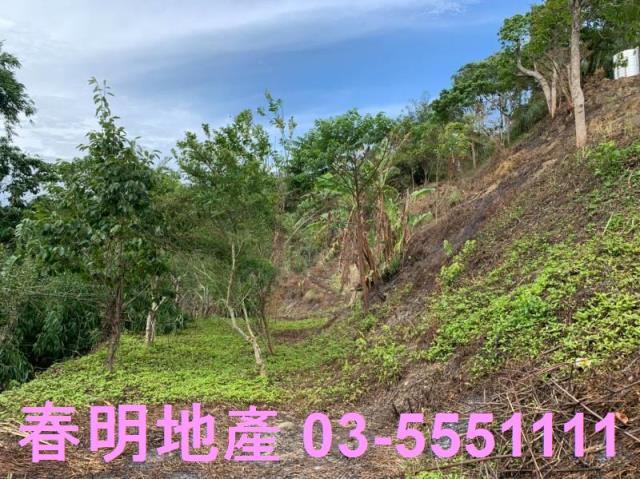 峨眉農地-7