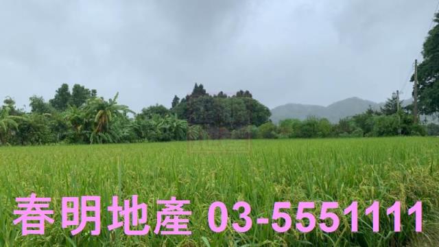新竹農地-1