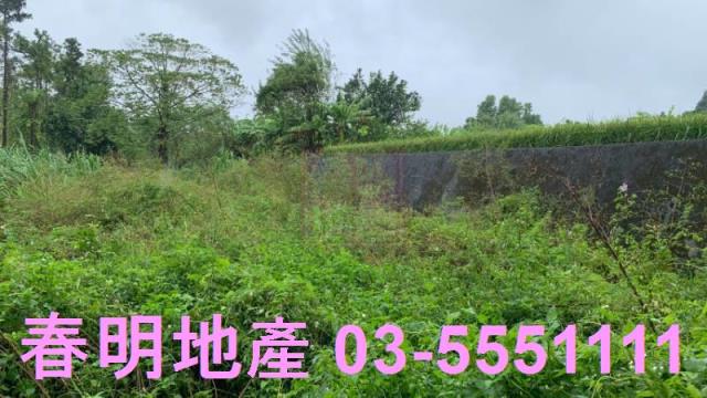 新竹農地-3