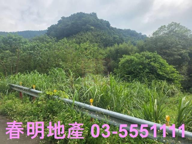 尖石農地-1