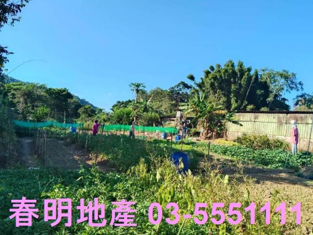 新竹關西農地-10