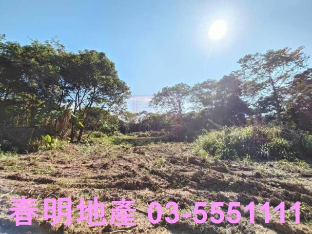 新竹關西農地-1