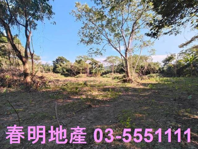 新竹關西農地-6