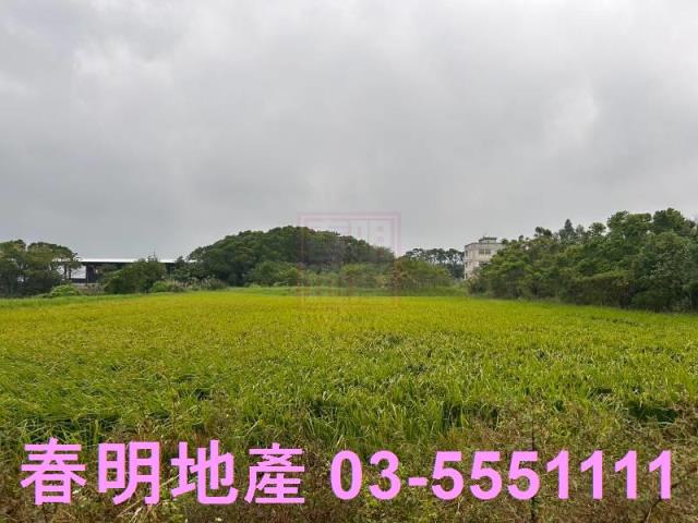 新竹湖口農地-1