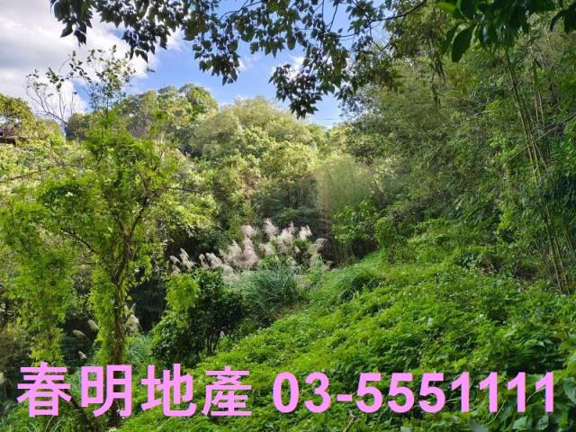 新竹關西農地-9