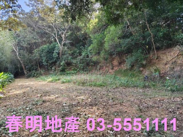 新竹關西農地-0