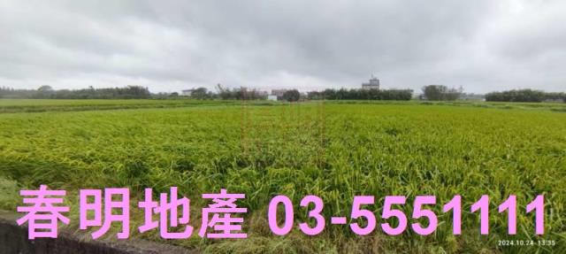 新竹新豐農地-0