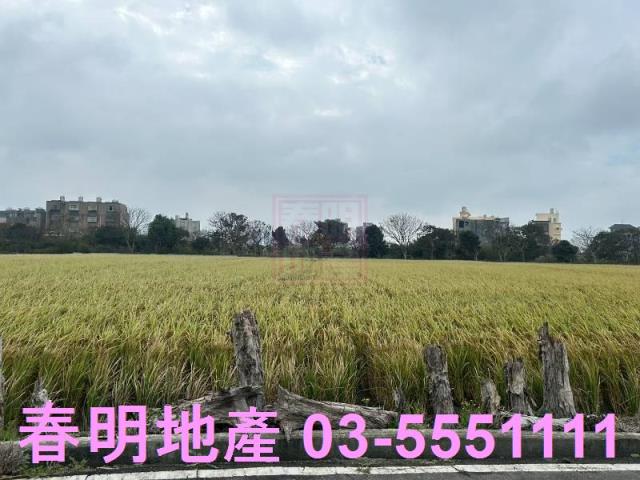 新竹竹北農地-1