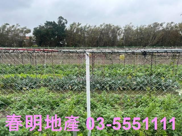 新竹竹北農地-3