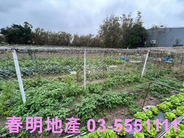 新竹竹北農地-4