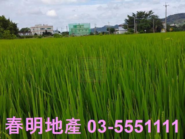 竹北農地-4