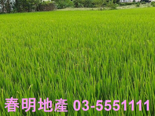 竹北農地-5