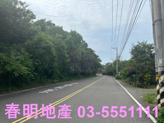 香山林地-5
