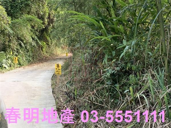 新竹尖石林地-0