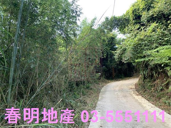 新竹尖石林地-1