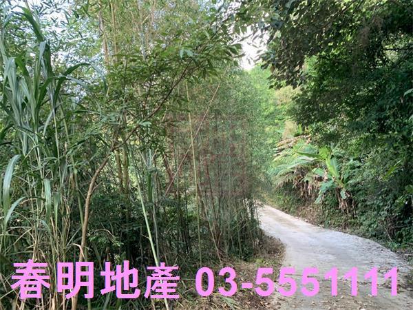 新竹尖石林地-2