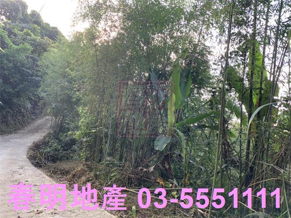 新竹尖石林地-3