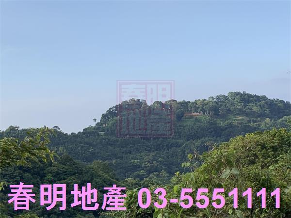 新竹尖石林地-6