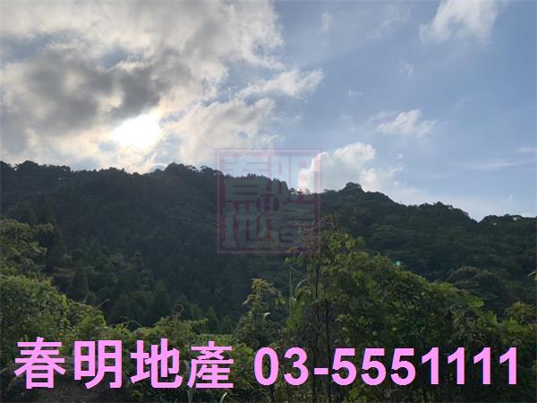 新竹尖石林地-8