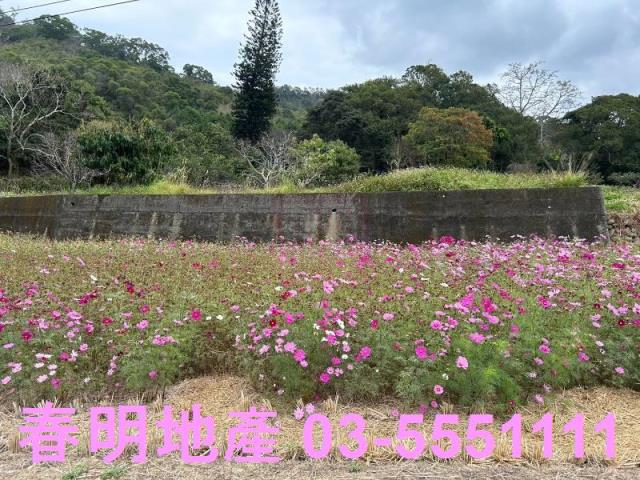 新竹芎林農地-0