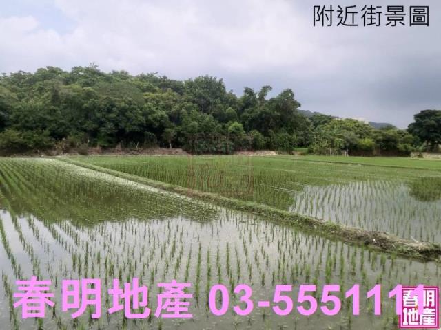 新竹竹北農地-0