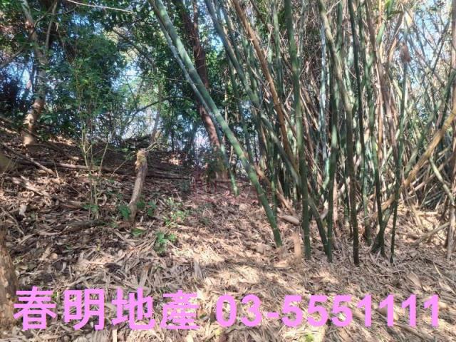 新竹寶山農地-2