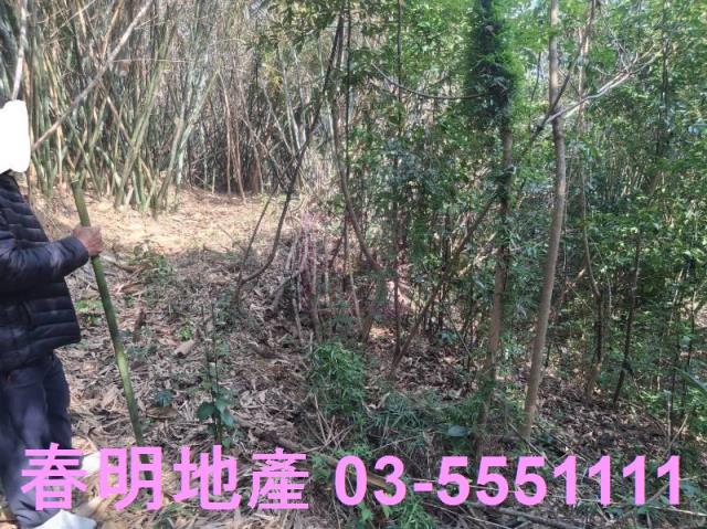 新竹寶山農地-4