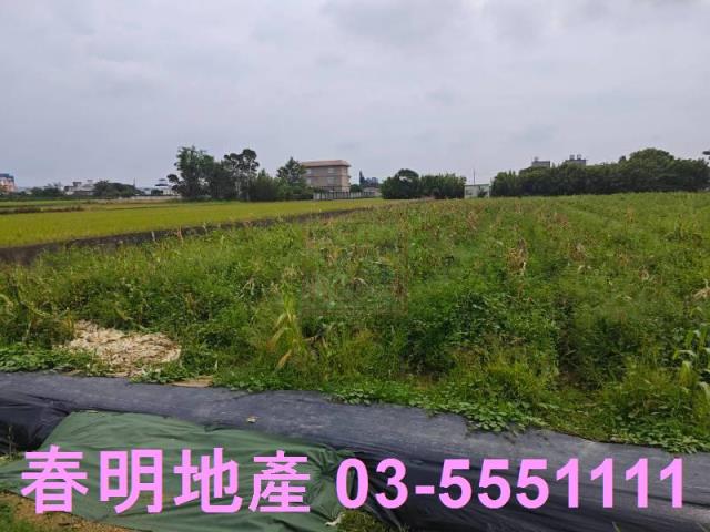 湖口農地-5