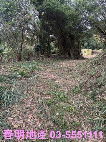 新竹芎林農地-0