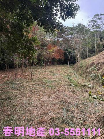 新竹芎林農地-8