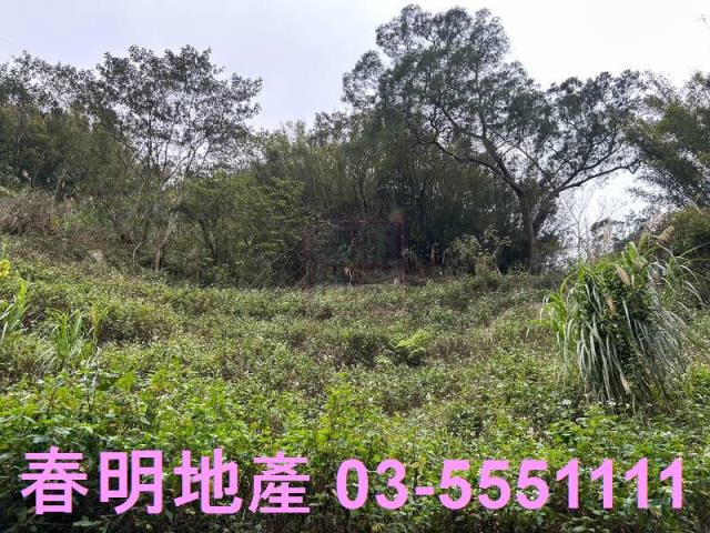 芎林林地-0