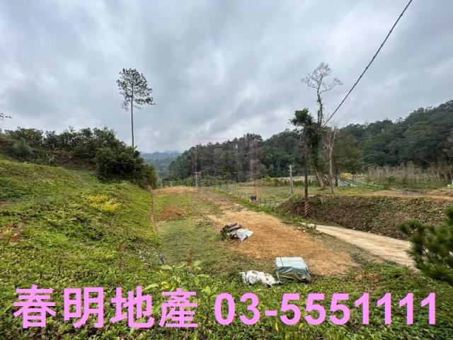 新竹橫山農地-2