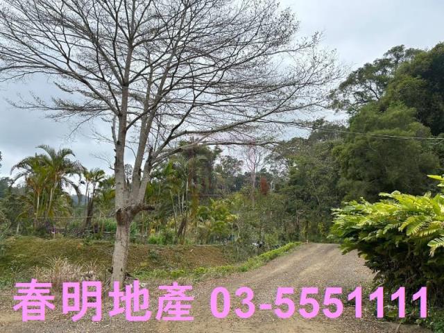 新竹橫山農地-3