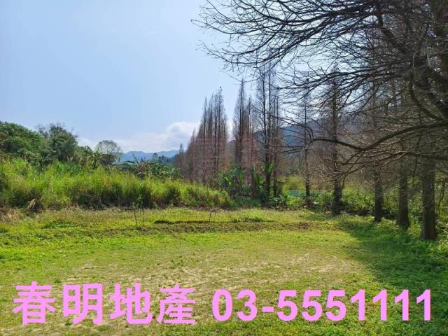 新竹橫山農地-0