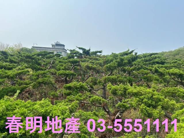 新竹新豐農地-0