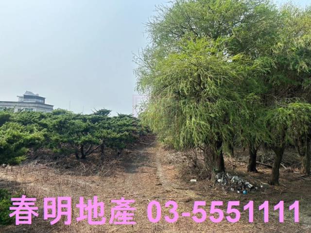 新竹新豐農地-1